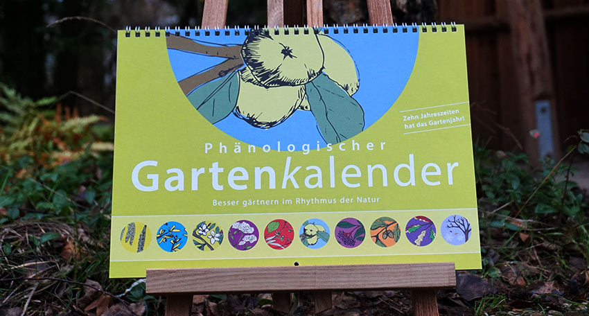 Der Phänologische Gartenkalender im Garten